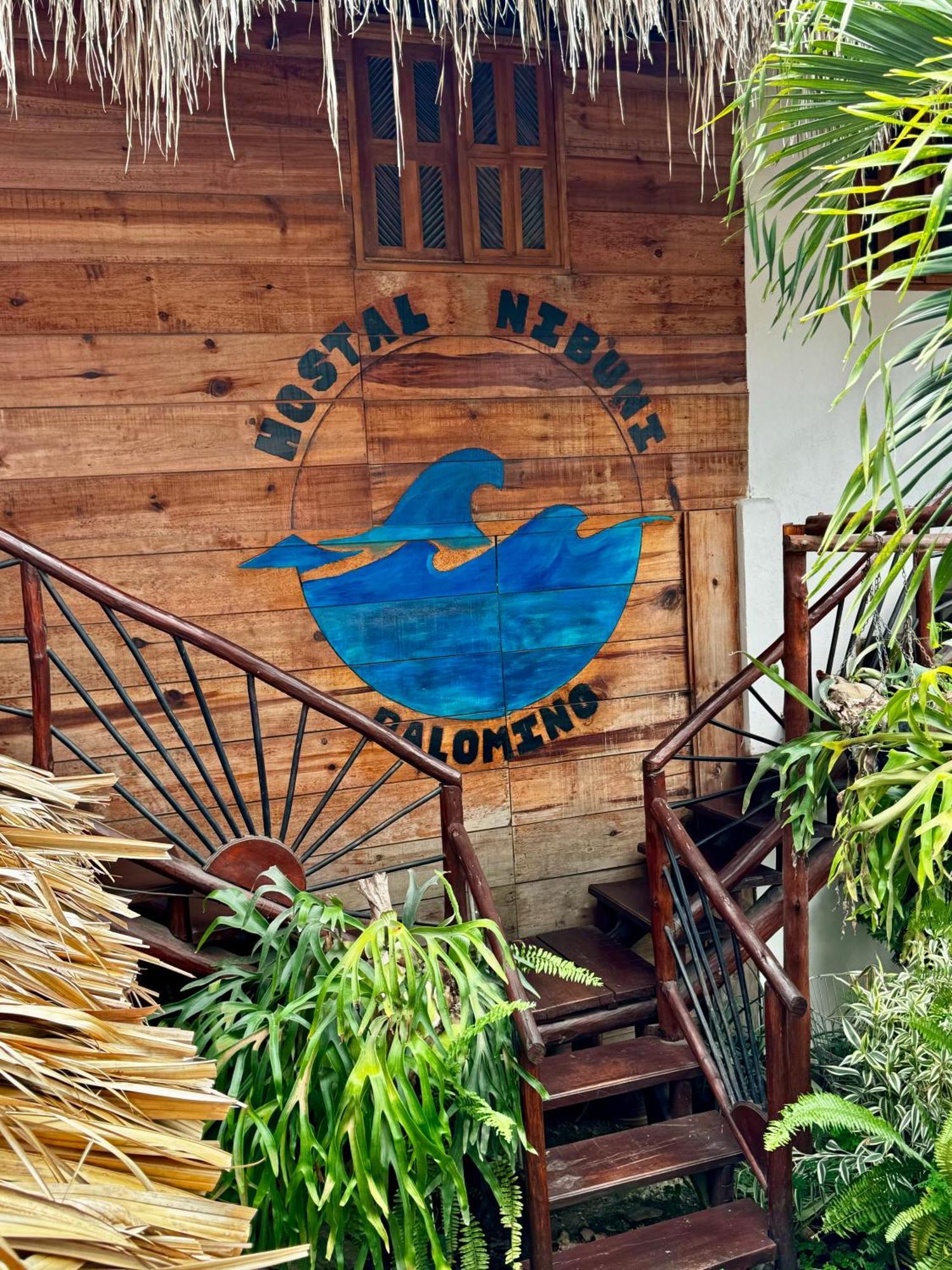 Hostal Nibuni Palomino Extérieur photo