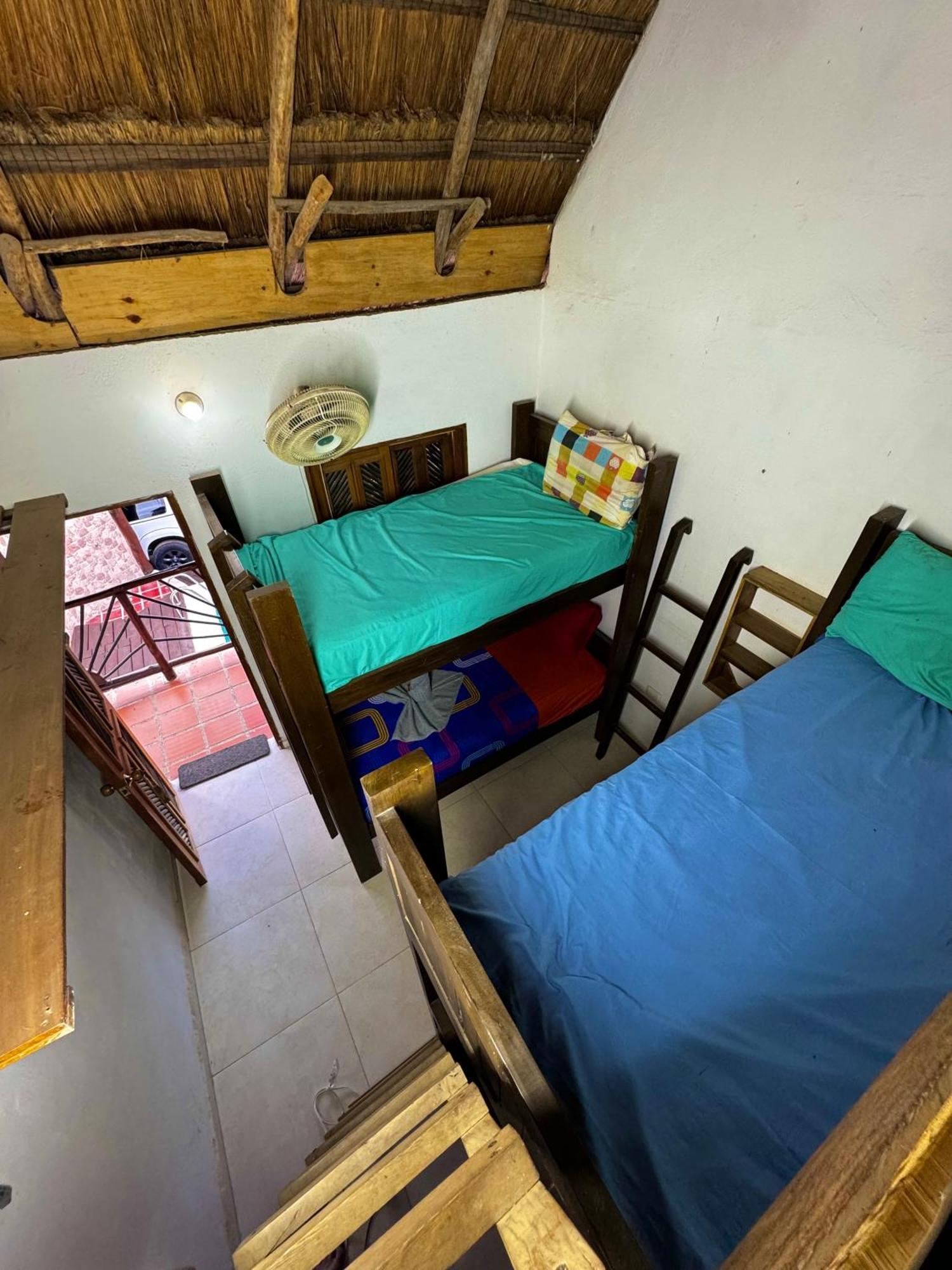 Hostal Nibuni Palomino Extérieur photo