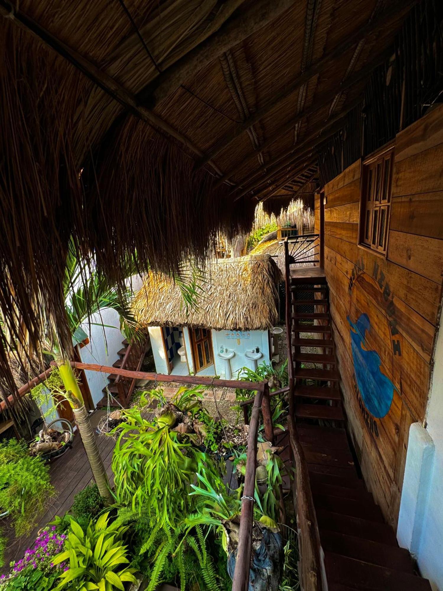 Hostal Nibuni Palomino Extérieur photo